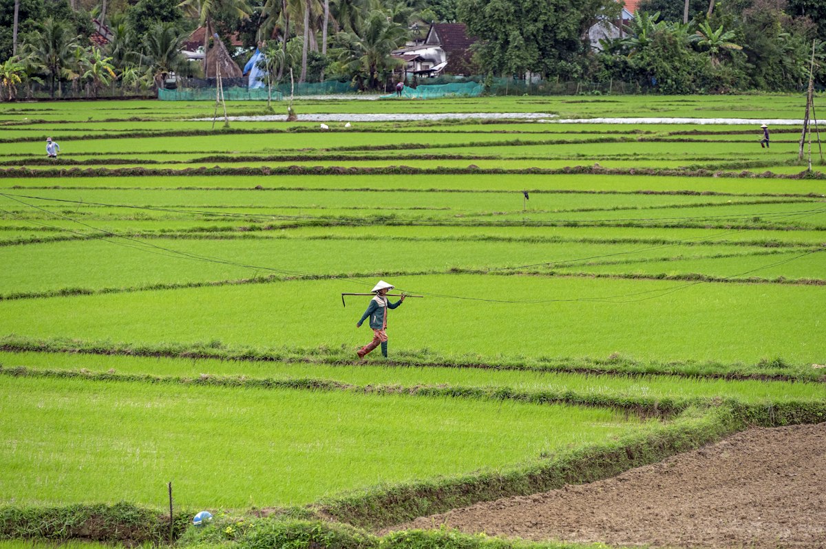 man walking across a lush green field
